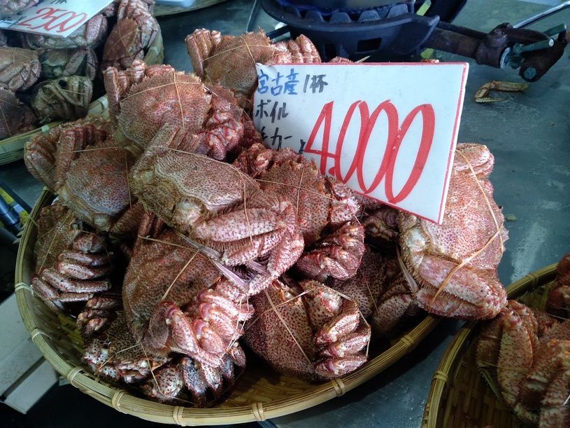 画像2