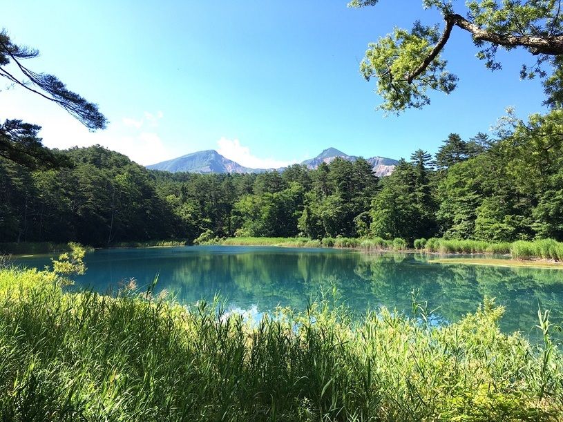 画像1