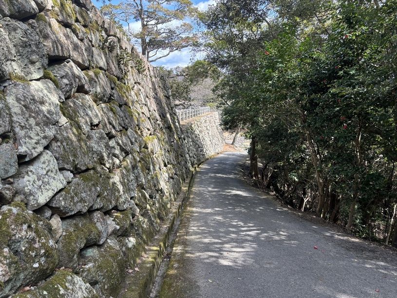 画像2