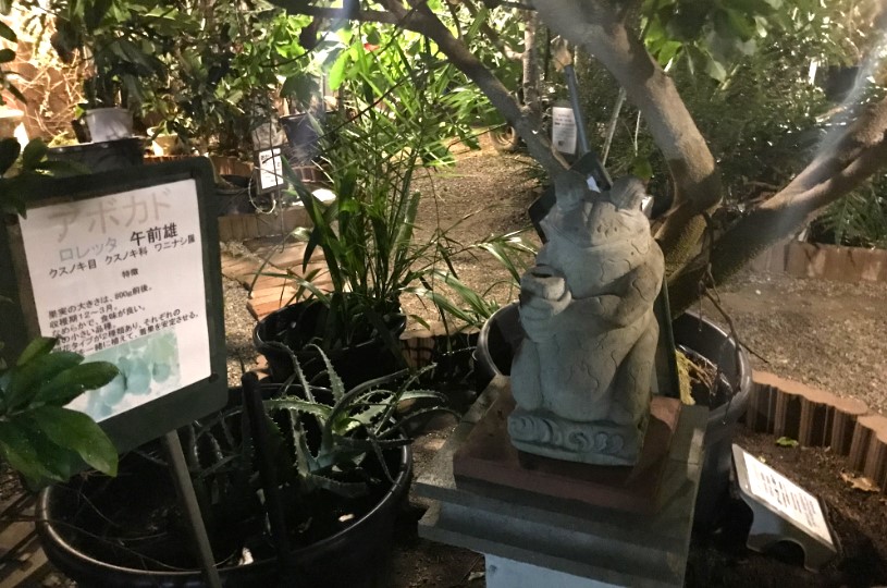 画像3