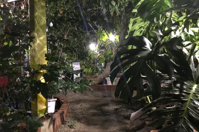 画像5
