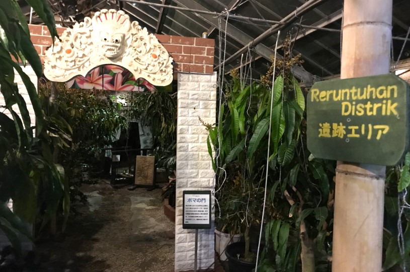 画像4