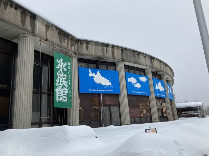 画像1