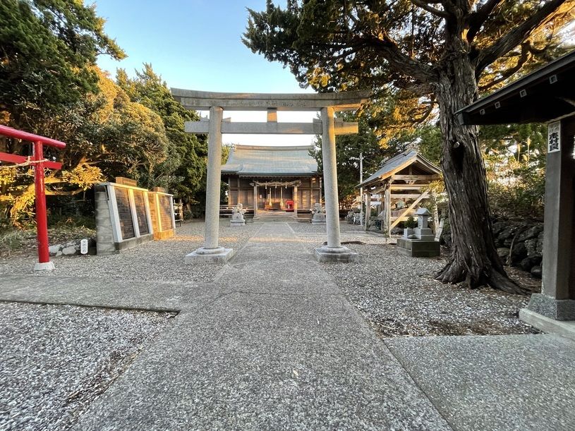 画像4