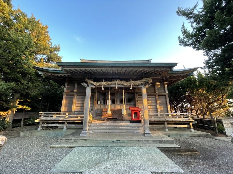 画像5
