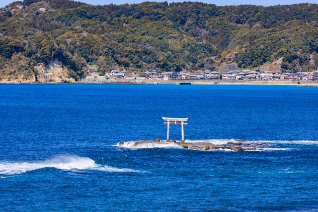画像4