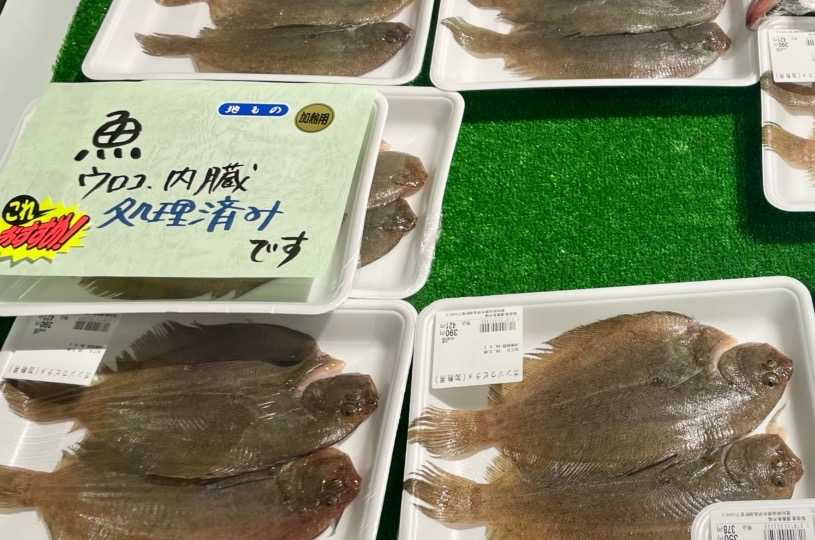 画像1