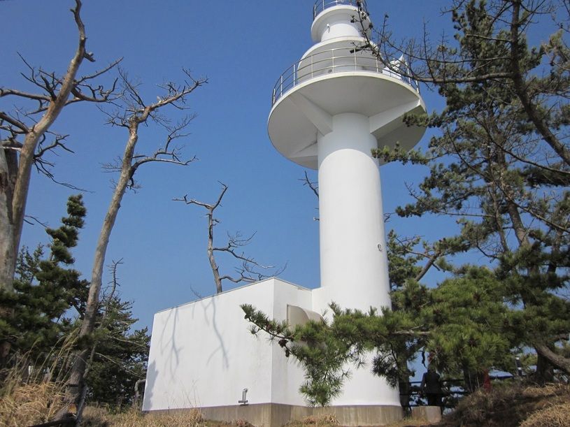 画像5