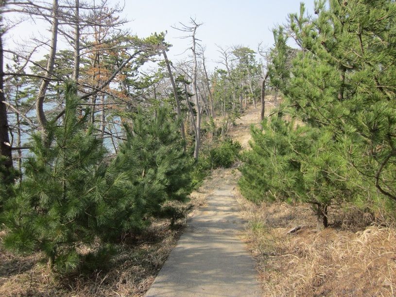 画像4