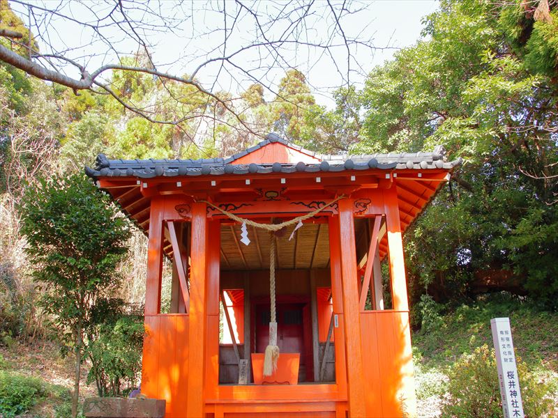 画像3
