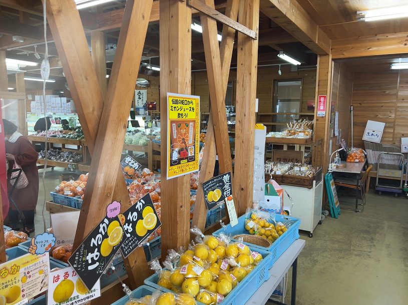 画像5