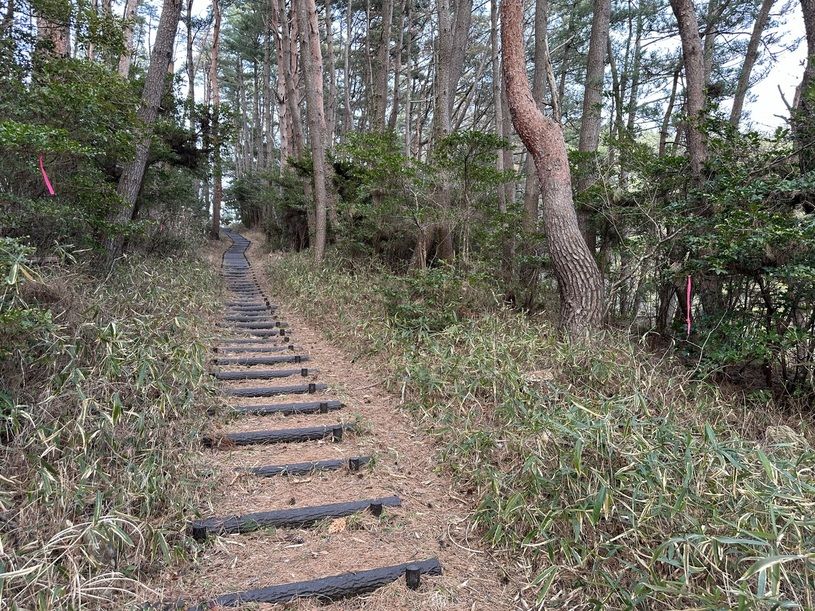 画像2
