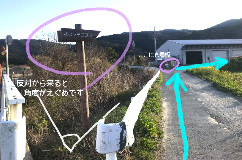 画像2