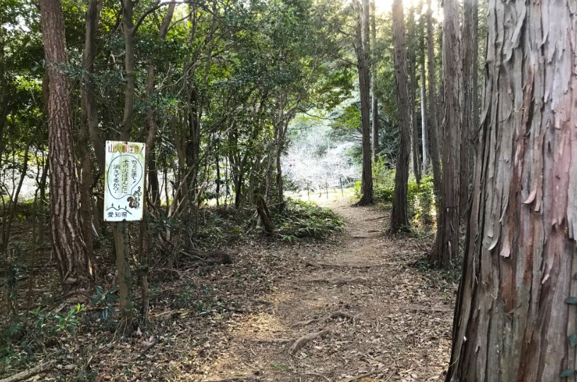 画像2