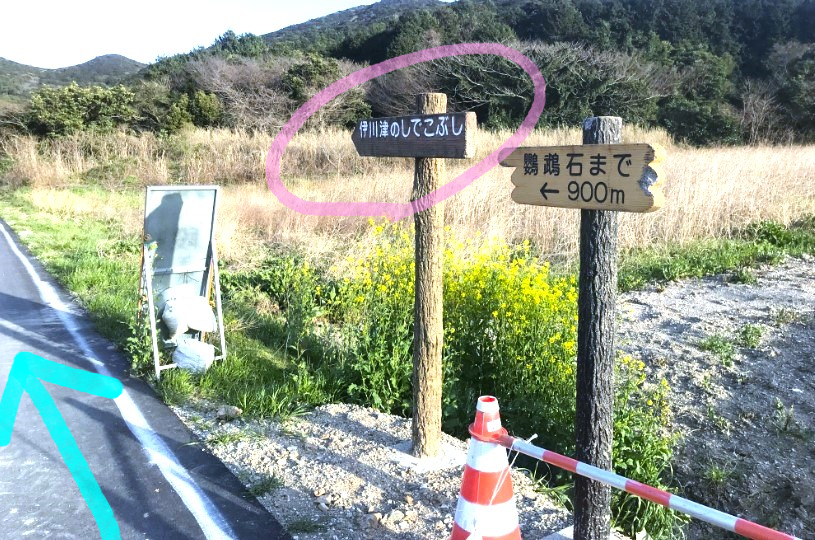 画像3