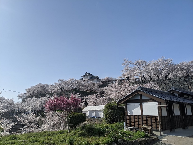 画像3