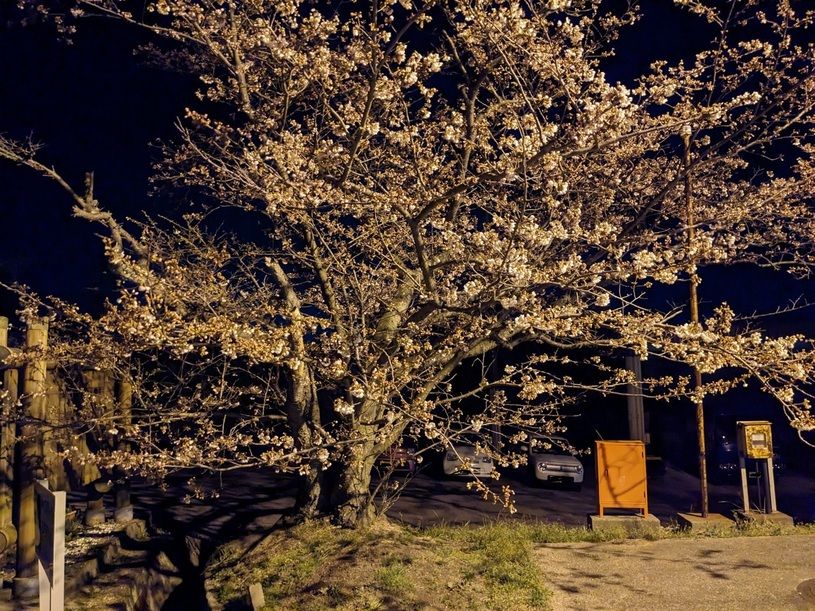 画像4
