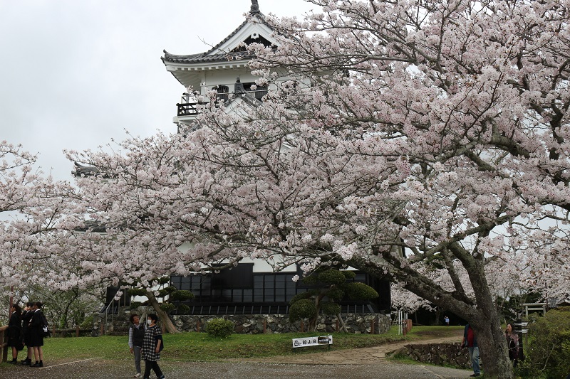 画像3