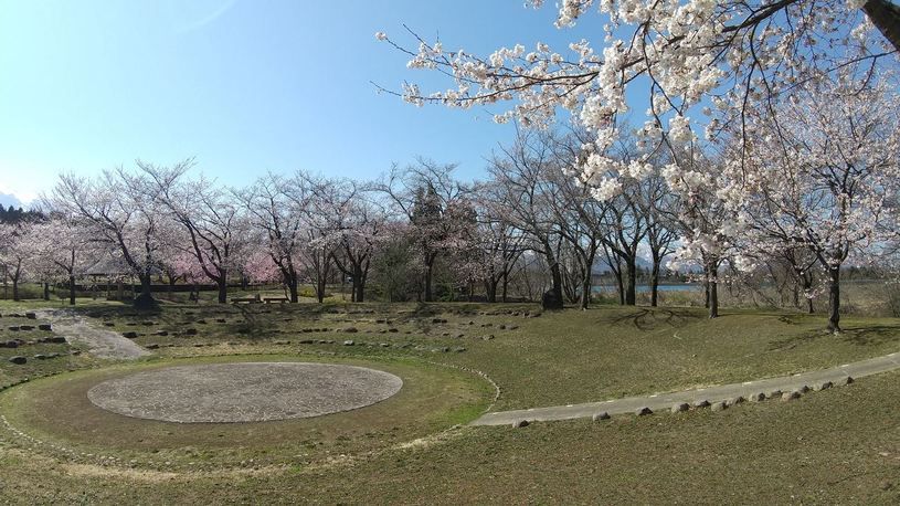 画像1