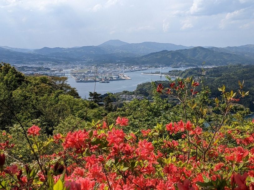 画像4