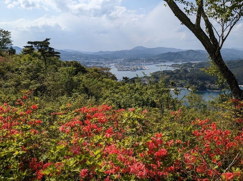 画像5