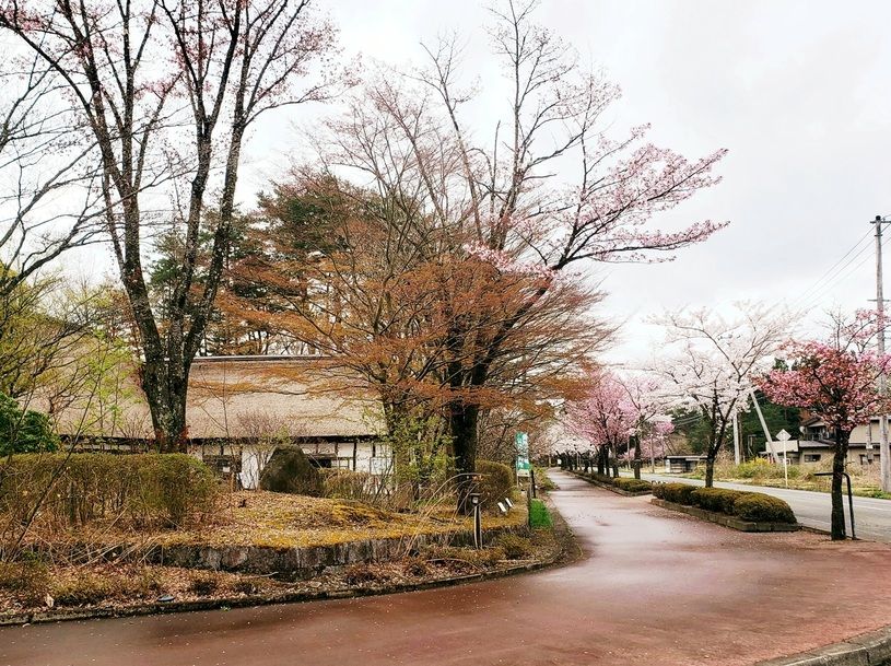 画像1