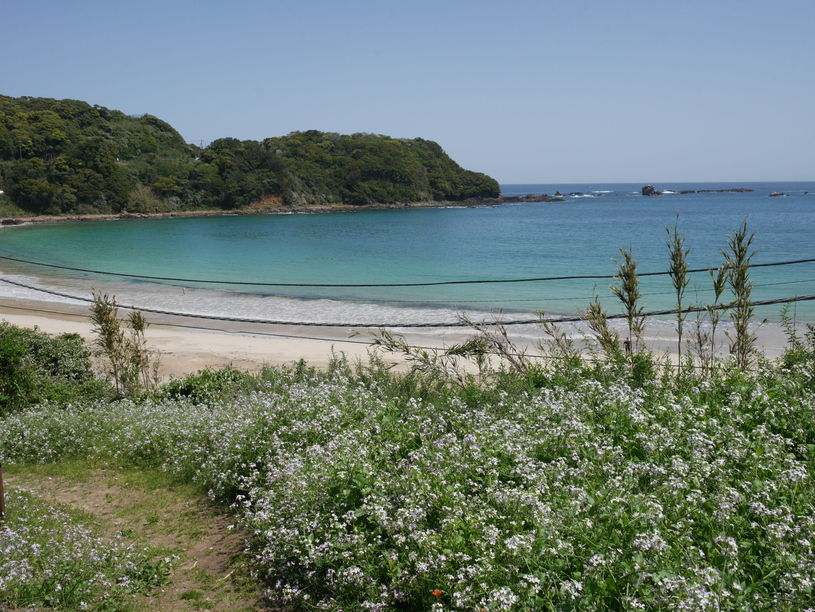 画像1