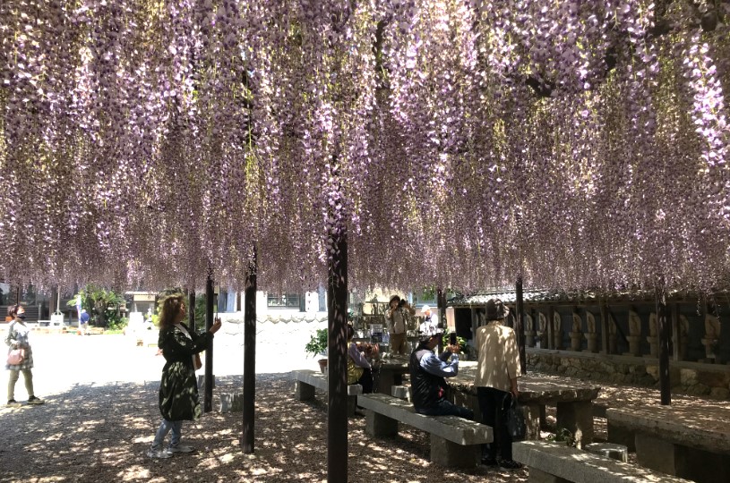 画像5