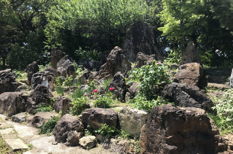 画像1