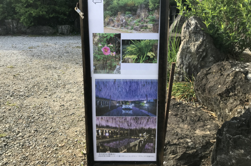 画像1