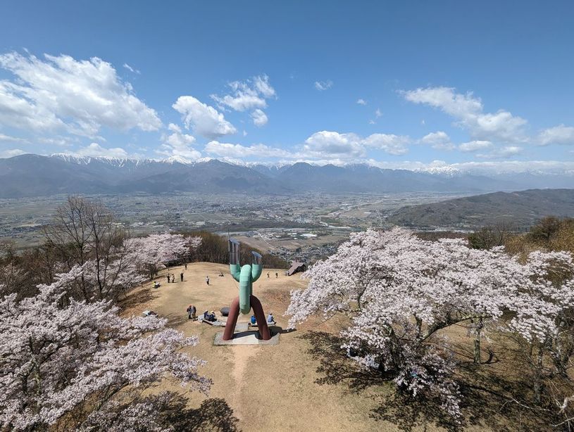 画像1