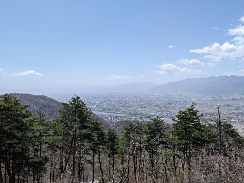 画像4