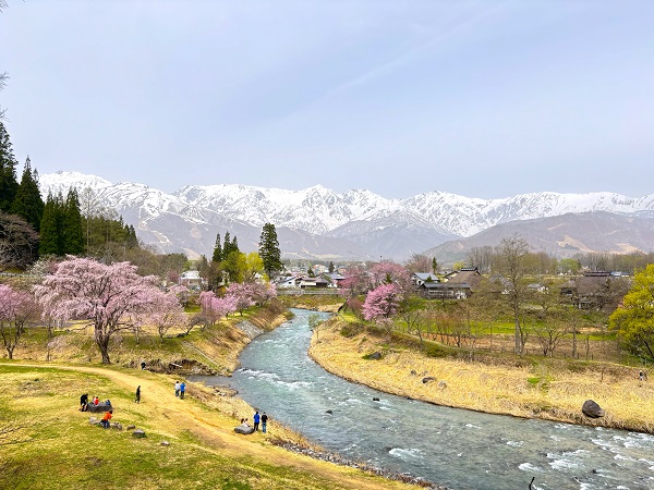 画像2