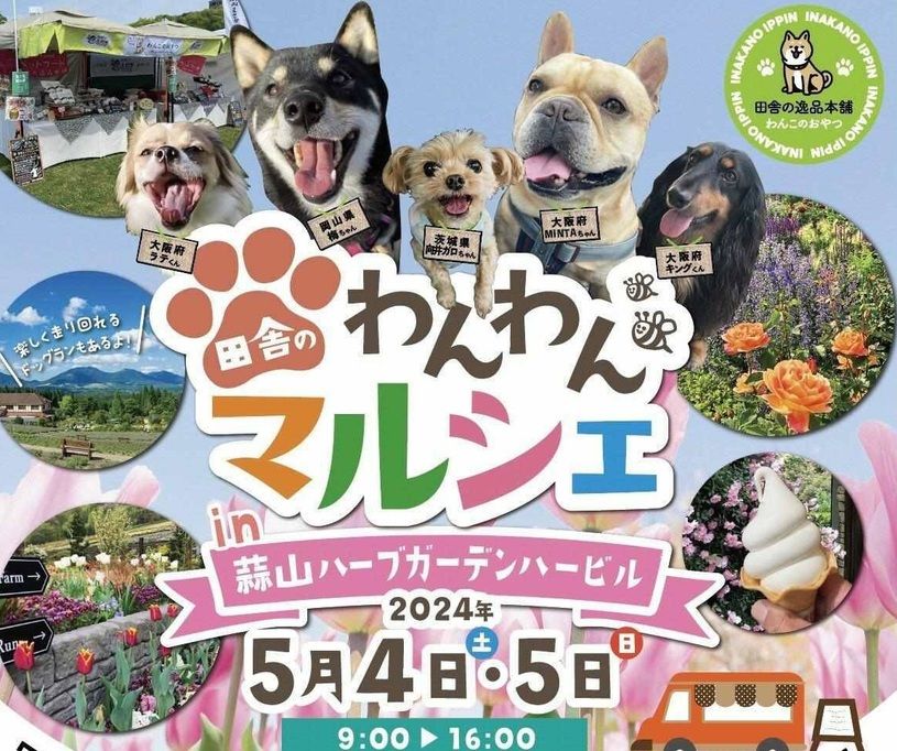 画像2