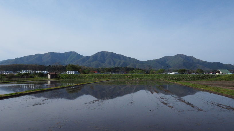 画像2