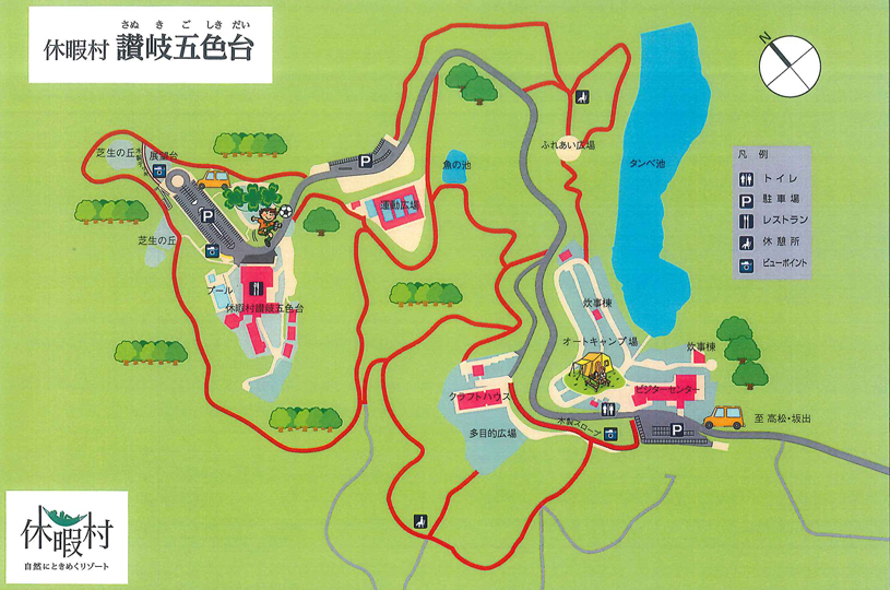 画像5