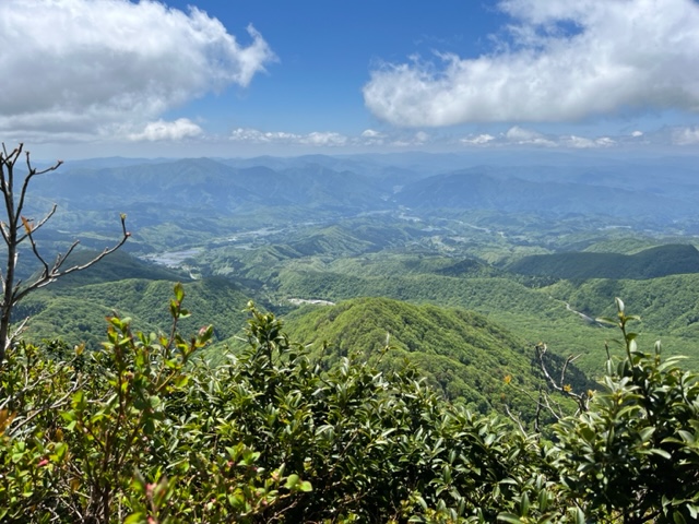 画像4