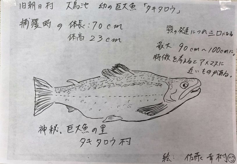 画像2