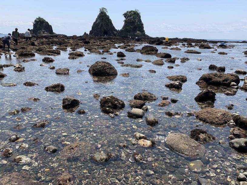 画像1