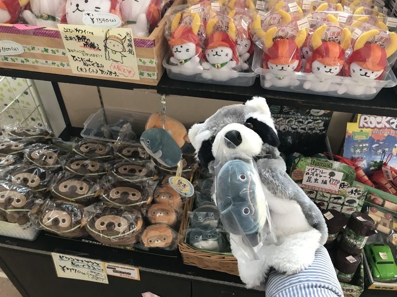 画像2