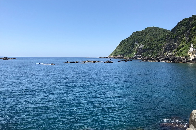 画像5