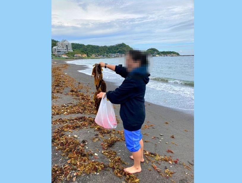 画像1