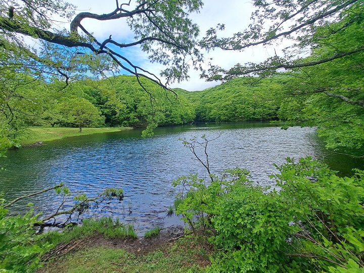 画像2