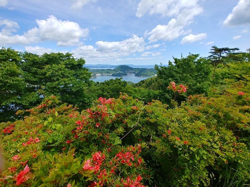 画像3
