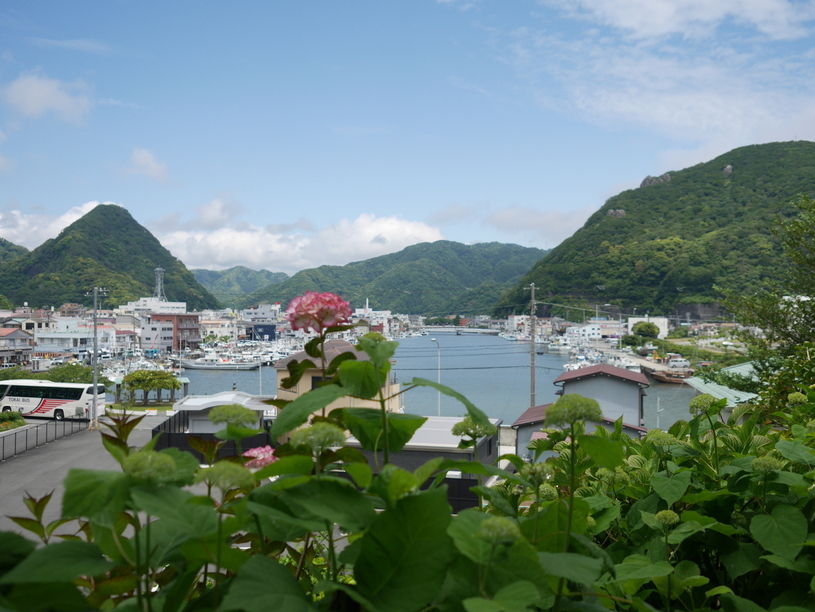 画像4