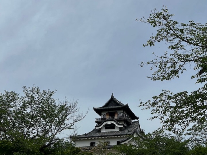 画像1