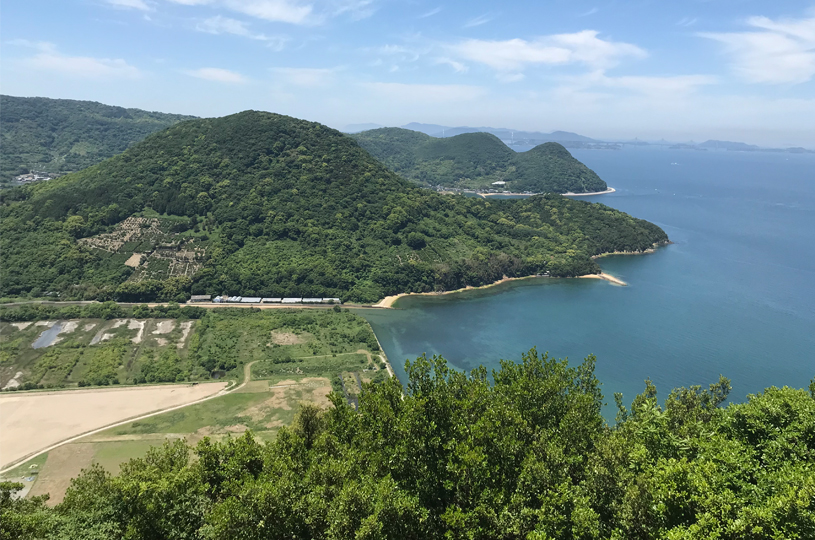画像5