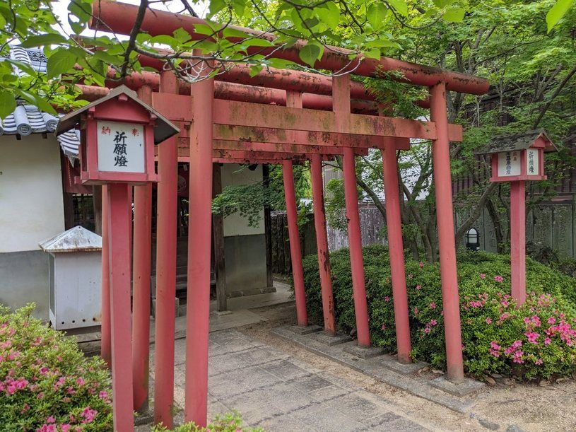 画像2