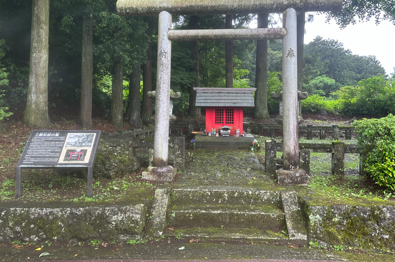 画像2
