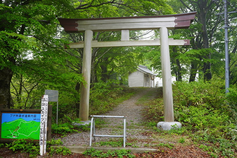 画像2